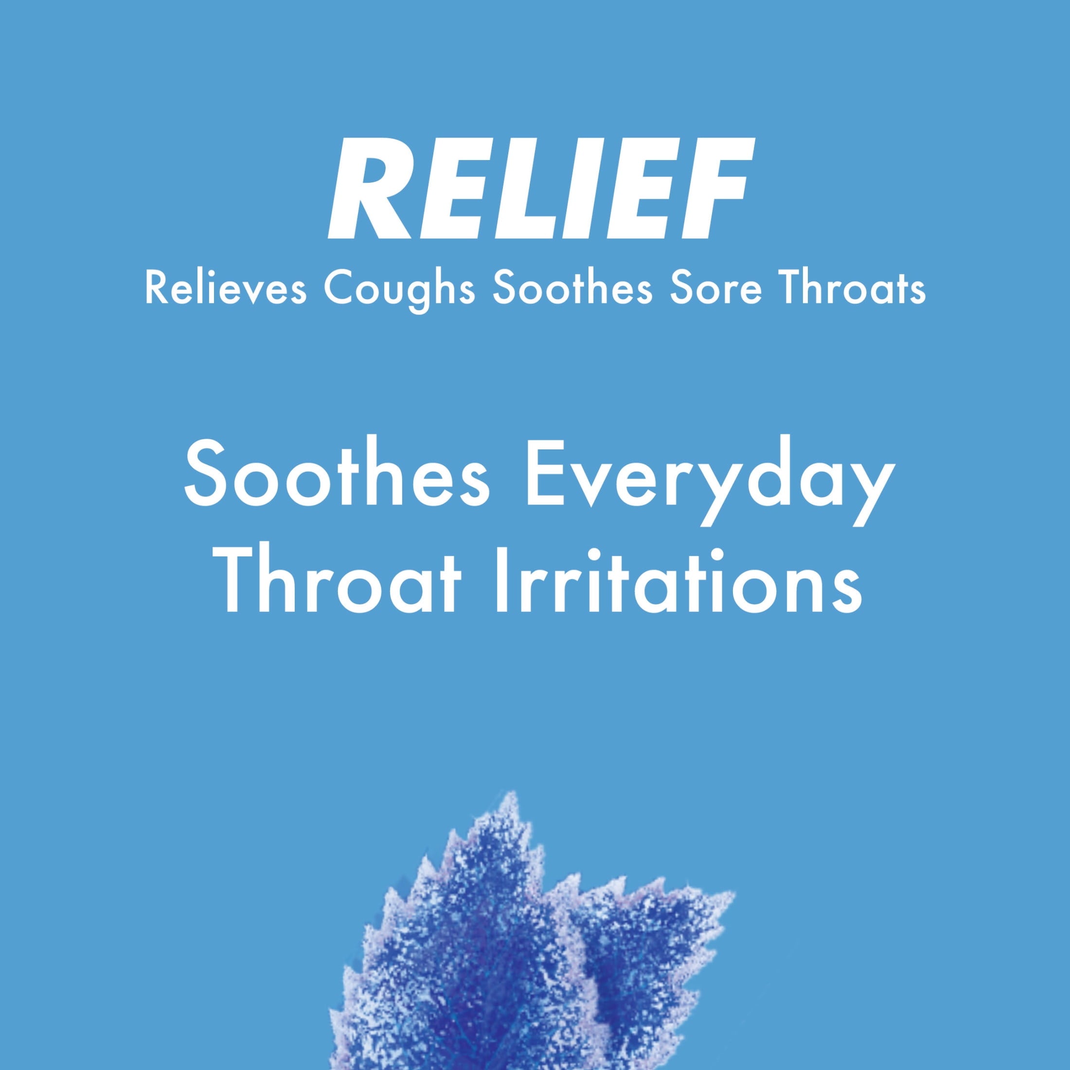 HALLS Relief Mountain Menthol Sugar Free Cough Drops, Economy Pack, 70 Drops