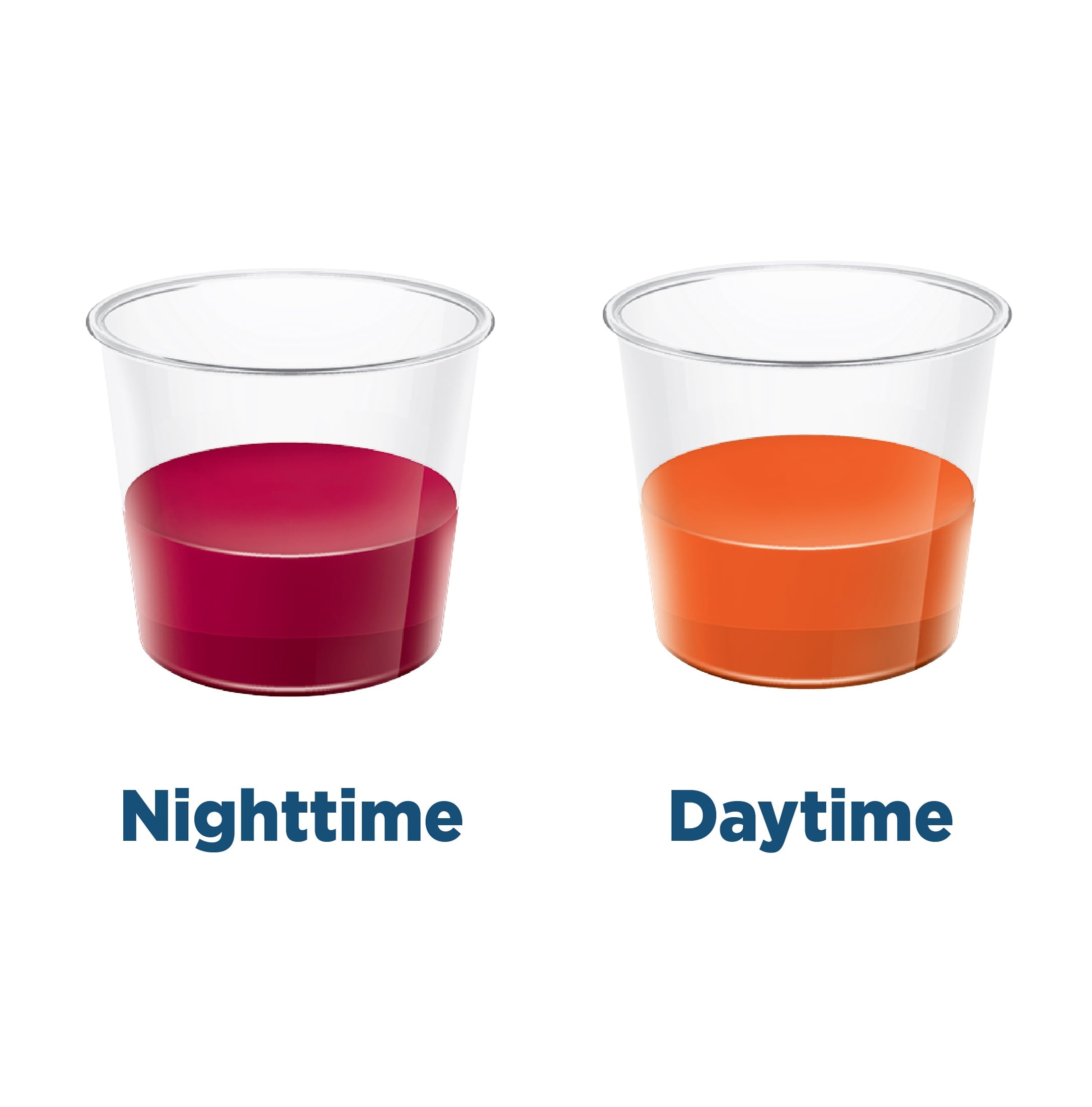 Equate Max Strength Severe Cold & Flu Relief Daytime and Nighttime Combo Pack, 12 fl oz